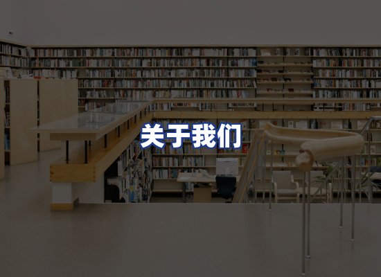 专业团队
